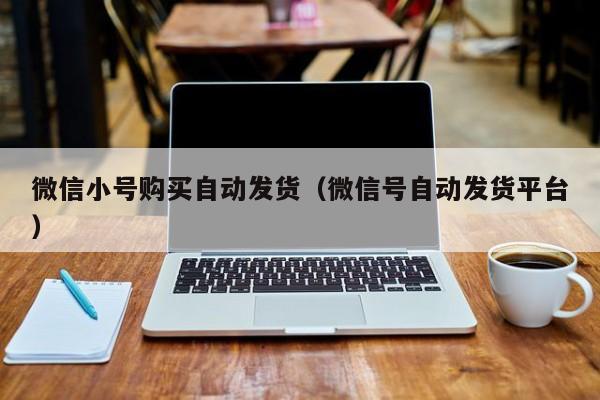 微信小号购买自动发货（微信号自动发货平台）
