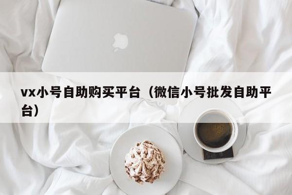 vx小号自助购买平台（微信小号批发自助平台）