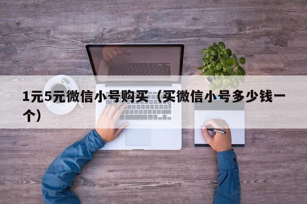 1元5元微信小号购买（买微信小号多少钱一个）