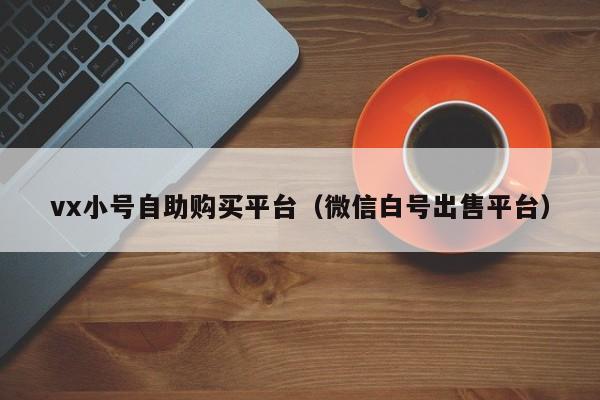 vx小号自助购买平台（微信白号出售平台）