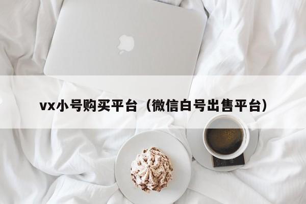 vx小号购买平台（微信白号出售平台）
