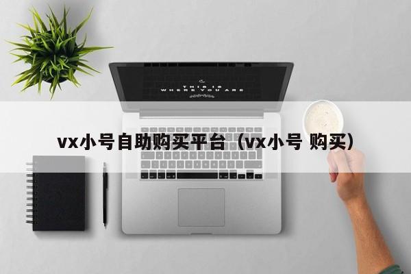 vx小号自助购买平台（vx小号 购买）