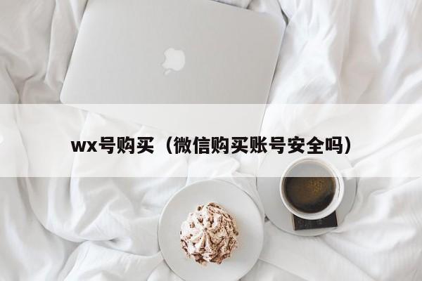 wx号购买（微信购买账号安全吗）