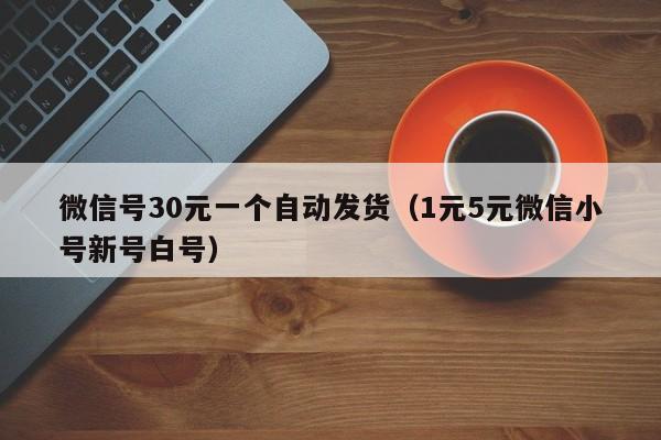 微信号30元一个自动发货（1元5元微信小号新号白号）