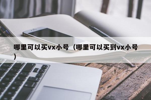 哪里可以买vx小号（哪里可以买到vx小号）