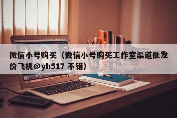 微信小号购买（微信小号购买工作室渠道批发价飞机@yh517 不错）
