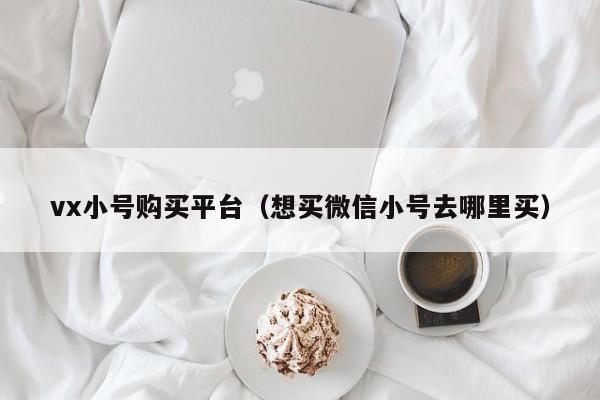 vx小号购买平台（想买微信小号去哪里买）