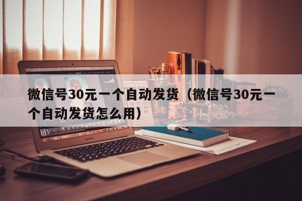 微信号30元一个自动发货（微信号30元一个自动发货怎么用）