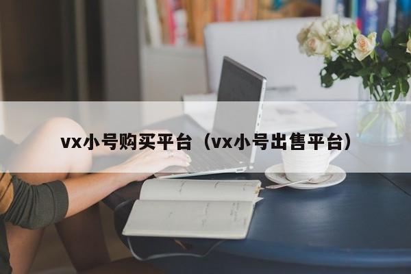 vx小号购买平台（vx小号出售平台）