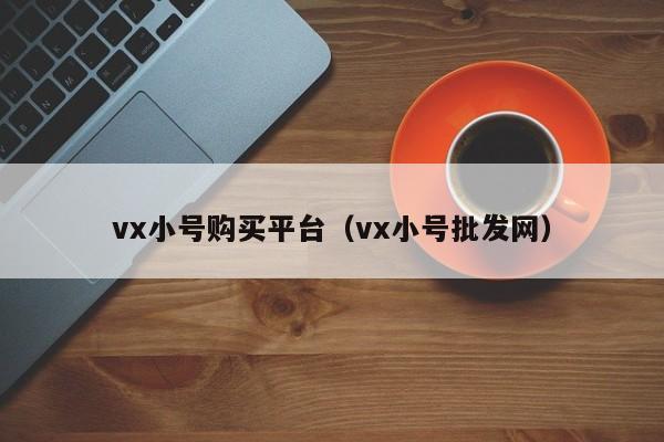 vx小号购买平台（vx小号批发网）