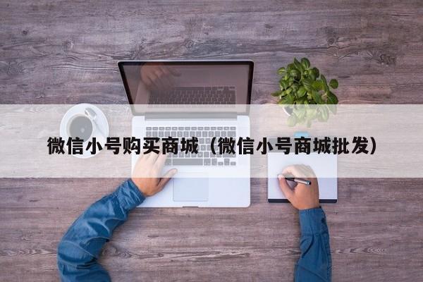 微信小号购买商城（微信小号商城批发）