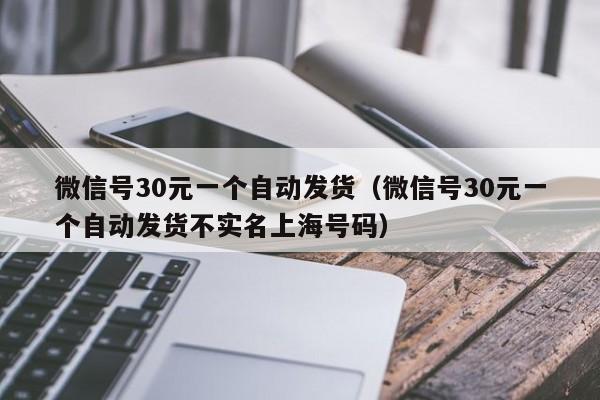 微信号30元一个自动发货（微信号30元一个自动发货不实名上海号码）