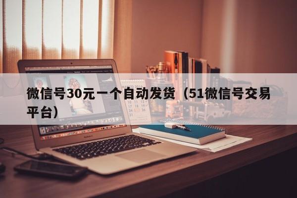 微信号30元一个自动发货（51微信号交易平台）