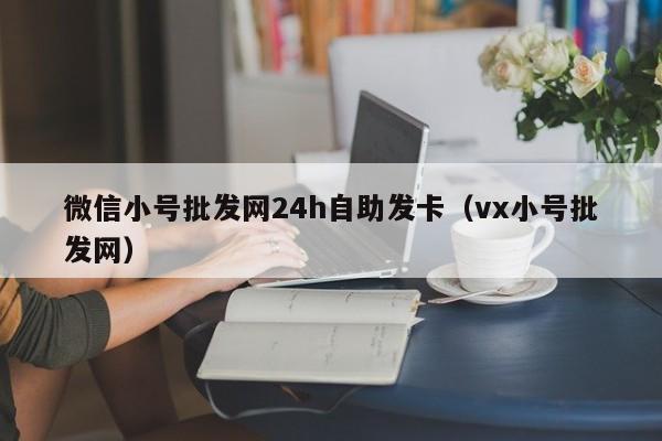 微信小号批发网24h自助发卡（vx小号批发网）